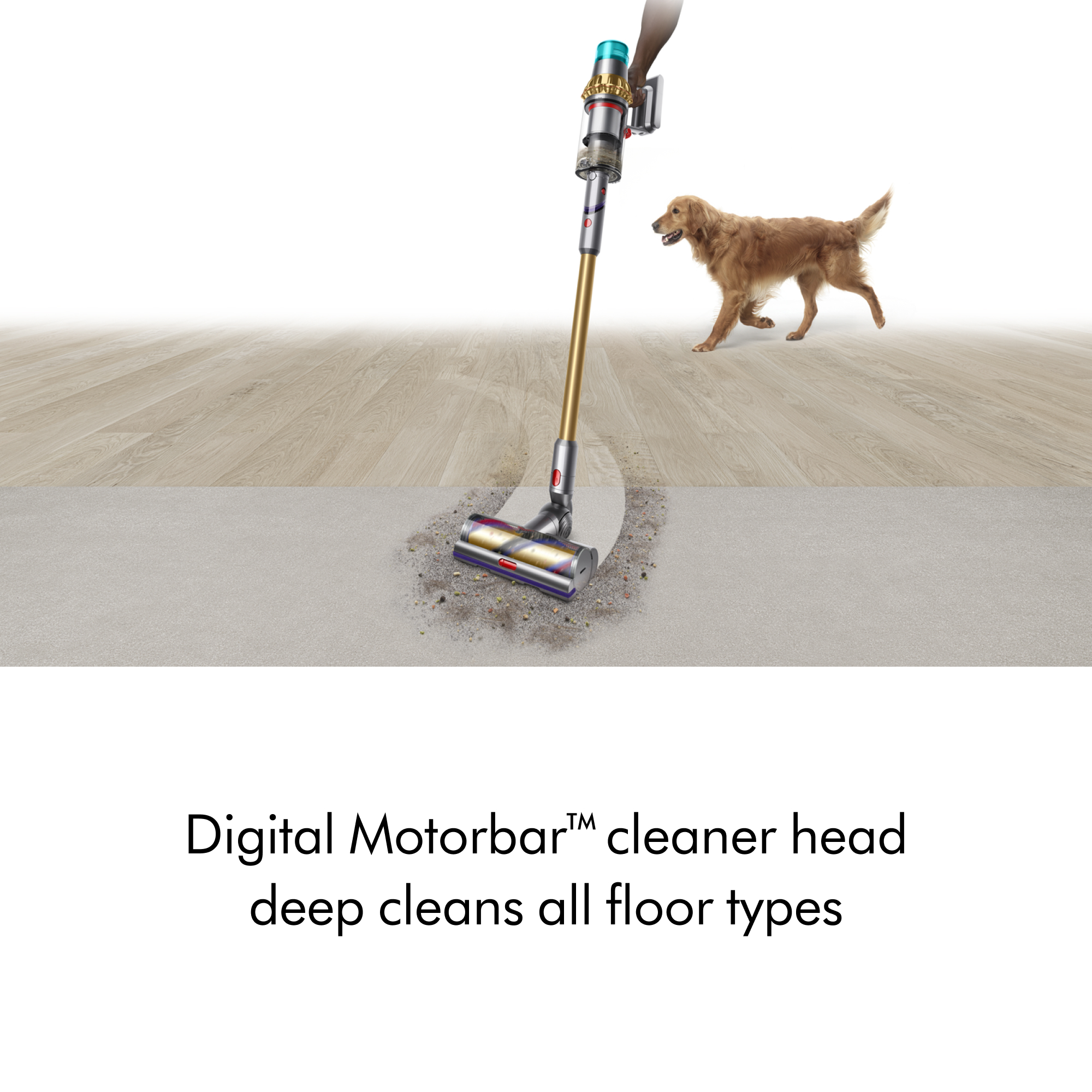 Dyson V15 Detect Absolute | Gold | Refurbished | eBay